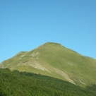 Cavalbianco